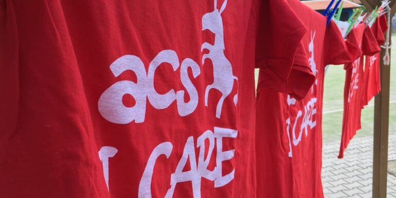 maglie acs