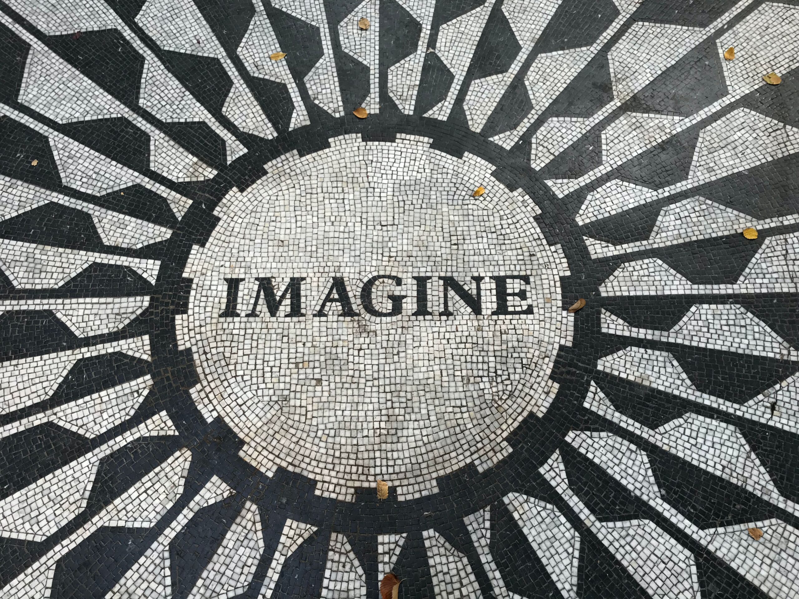 imagine