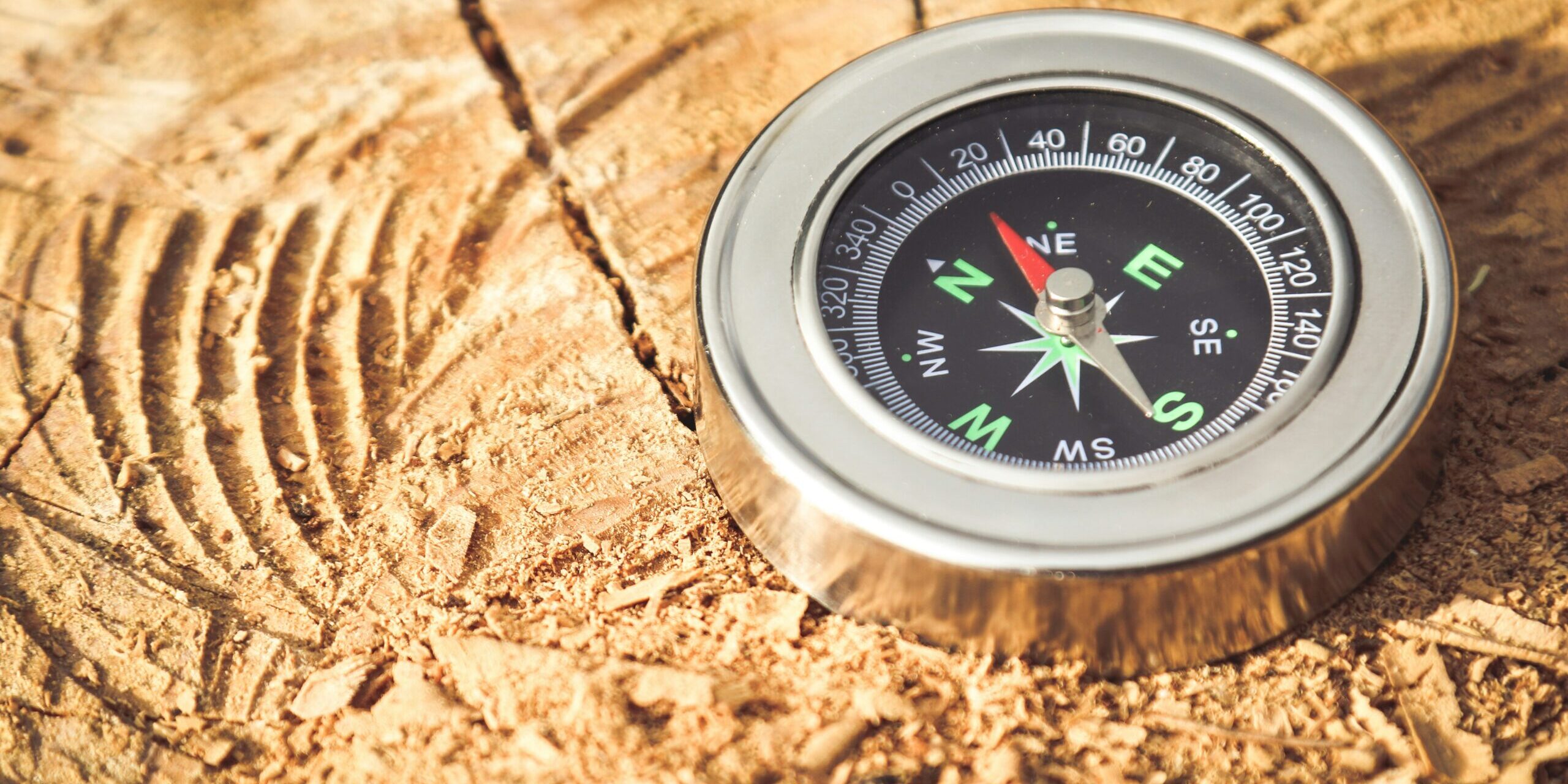 Foto di Jametlene Reskp su Unsplash